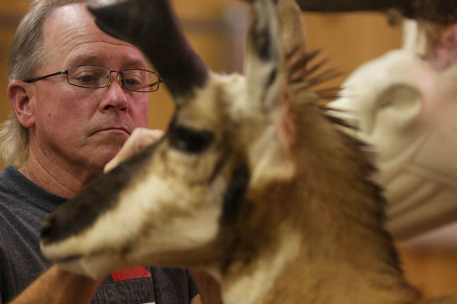 Keen attention to detail is a necessity in taxidermy